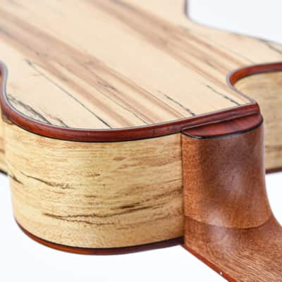 Cordoba 24TCE Tenor Spalted Maple Spruce Ukulele image 10