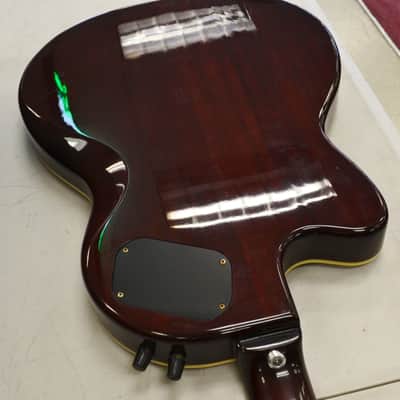 Epiphone Chet Atkins SST 6-String Acoustic Electric Guitar image 13