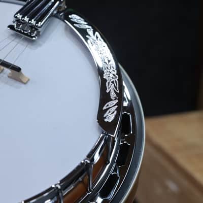 Ibanez B200 Banjo Sapele Body Purpleheart Fretboard 5-String Resonator Banjo image 9