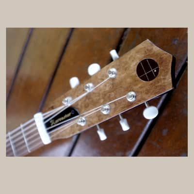 Harvester Guitars Lupine Short Scale Ser # 114 New/ 2020 Aged Pelham Blue (Authorized Dealer) image 17
