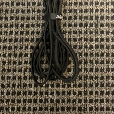 BluGuitar Amp1 Mercury Edition Nanotube Amp With NanoCab image 6