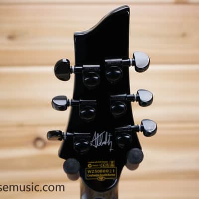 Schecter RavenDark V FR Abbath Signature - Black with Silver Pinstripes image 13