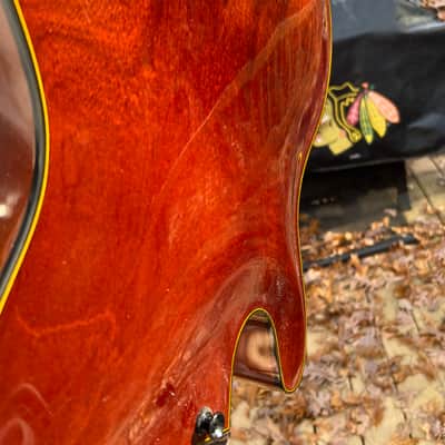 Tim Bram Tribute thinline archtop custom built image 12