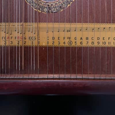 Hawaiian Mandolin Harp A. R. Yendricks & Co. Club Special 1920's - Natural image 2