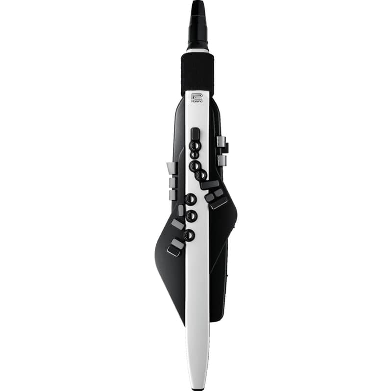 Roland Aerophone AE-20 Digital Wind Instrument image 1