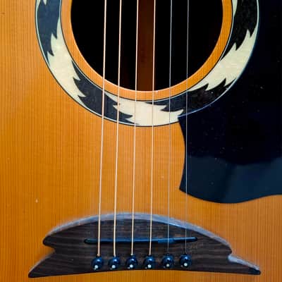 Hohner Striped Ebony Sides, Back & And Fretboard All Solid Woods Flat Top Acoustic Electric Dreadnought Steel String Guitar image 2