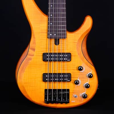 Steinberger Synapse XS-15FPA 5-String Bass | Reverb