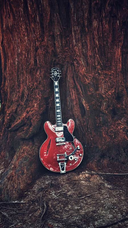 Epiphone Shinichi Ubukata ES-355 2025 - Cherry Red image 1