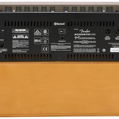 Fender Acoustic 100 image 2