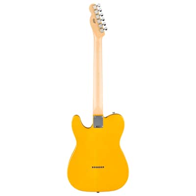 Used Fender Standard Telecaster Maple - Butterscotch Blonde image 3