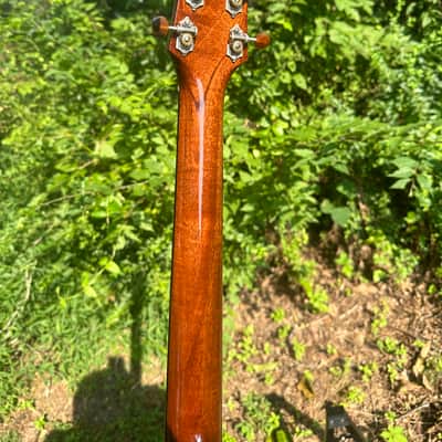 Edmonds Moon Spruce/ Plum pudding mahogany D-18 BUILT FOR SHAWN BROCK image 10