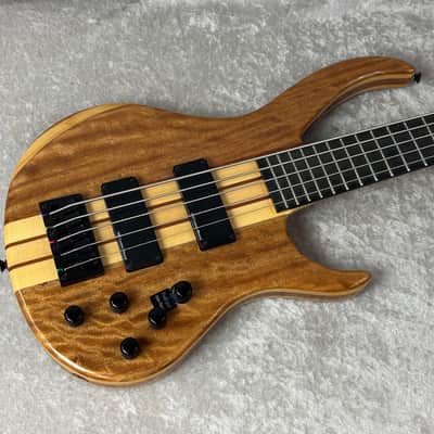 Harley Benton BZ-5000 Deluxe 5 String bass guitar with bag image 1