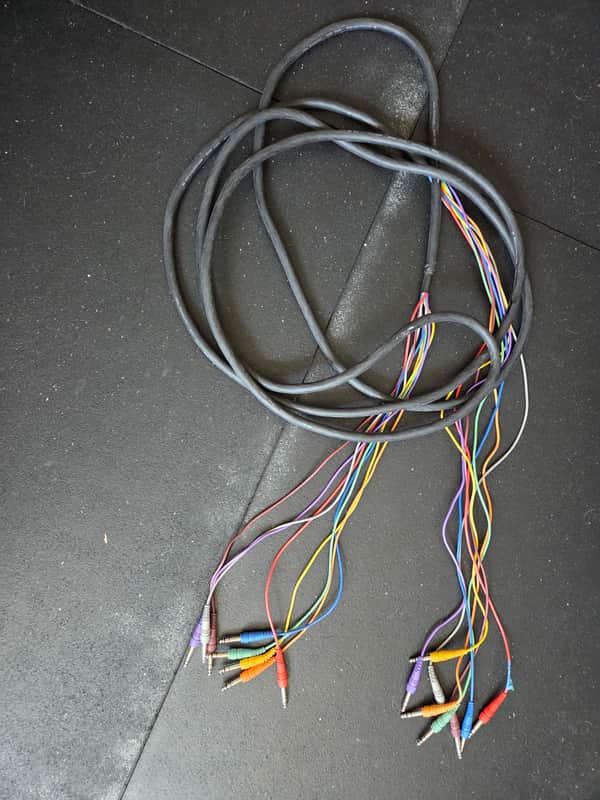 Hosa Patch Cable Snake 24 feet, 8 Cables TRS 1/4" image 1