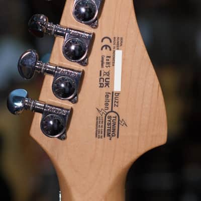 Washburn N24 Nuno Bettencourt Vintage Electric Guitar, Natural Matte image 10