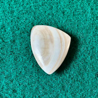 Seashell guitar pick-5.2mm, asymmetrical profile… by BeachSidePicks image 3