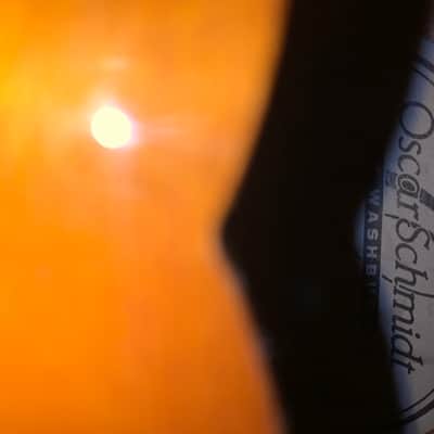 Oscar Schmidt Washburn OM-10 Mandolin and Superior Case Gigbag 2000s - Sunburst image 8