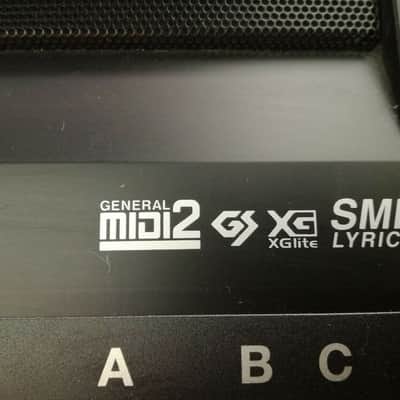 ROLAND VIMA RK-100 KEYBOARD, Karaokefunktion, einfache Bedienung, toller Sound! image 5