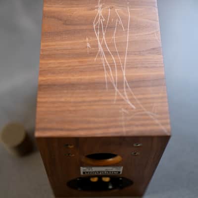 Amphion Argon 1 - single speaker - Walnut image 7