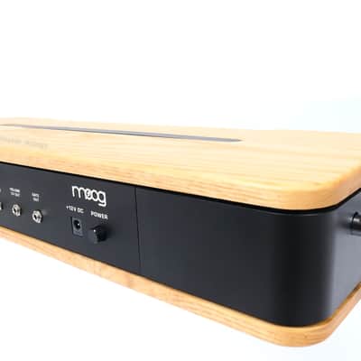 MOOG Etherwave Theremin Synthesizer Ash Wood - Model 2022 like Etherwave PLUS // NEU + OVP + GARANTIE✅ image 11