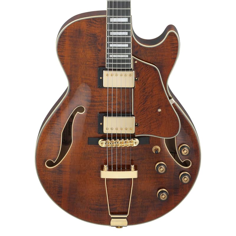 Ibanez AG95MG Artcore Expressionist image 2