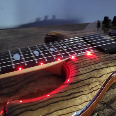 2009 Alembic Darling - Zebrawood With OHSC image 12