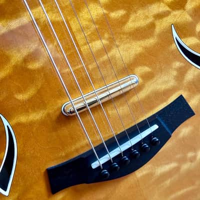 Taylor T5 image 7