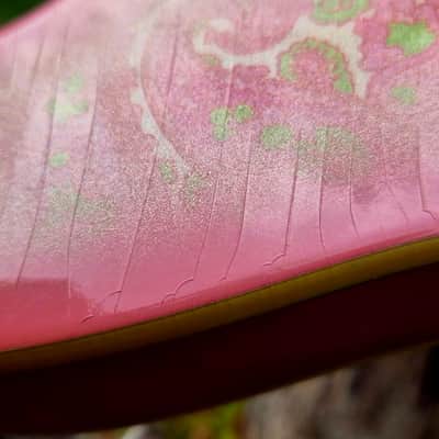 Pink Paisley Tele Body, Aged, Nitro , Alder, Binding image 7