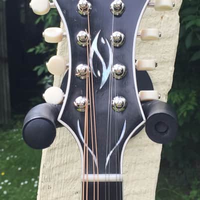 Vanden F5 Mandolin image 3