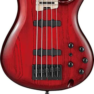 Ibanez ANB205 Adam Nitti Signature 5-String Bass Guitar, Maple Fingerboard, Transparent Wine Red Burst image 2