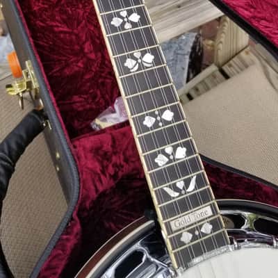 Gold Tone 10 string  resonator banjo image 12