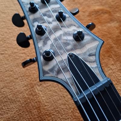 Schecter C-1 Hybrid 2007 - 2009 - Snow Leopard image 5