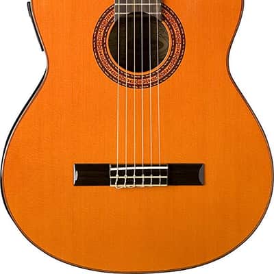 Washburn C5CE Classical Cutaway Spruce Top Mahogany Neck 6-String Acoustic-Electric Guitar image 5