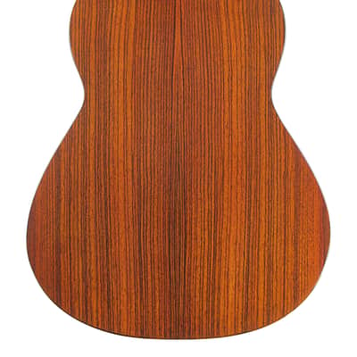 Thorsten Sven Lietz 2015 Torres style - amazing sounding classical guitar - handmade in Germany - check description + video! image 6
