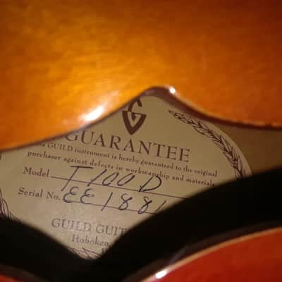 1966 Guild T100 Semi-Hollow Guitar-Duesenberg B-7 Bigsby -McNelly Charlie Christian PUs-HSC- VIDEO image 20