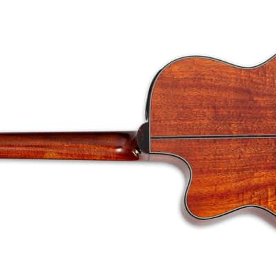 Takamine LTD2025 Acoustic Electric Guitar Gloss Antique Evergreen + Semi-Hard Case BRAND NEW image 2
