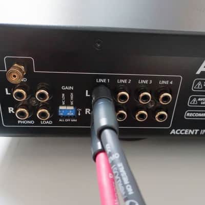 AVID HIFI ACCENT - Integrated Stereo Amplifier - NEW! image 8