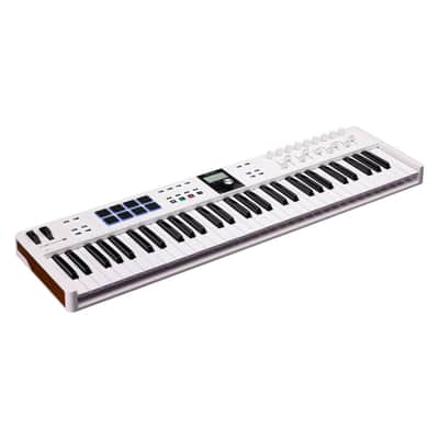 Arturia KeyLab Essential 61 mk3 MIDI Controller Bundle w/ Pig Hog Solutions PMID06 6ft MIDI Cable, USB Cable & Liquid Audio Polishing Cloth (White) image 2