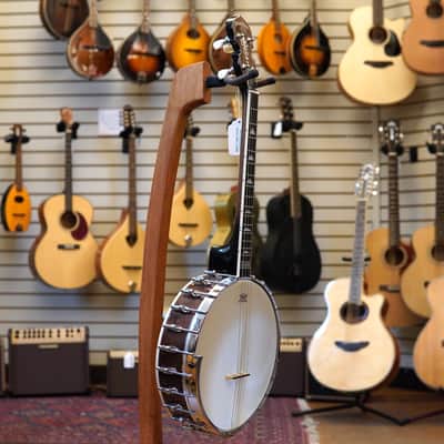 Gold Tone IT-250 11" Irish Tenor Banjo w/Hard Case image 5