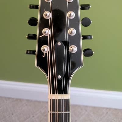 Northfield Mandolin NFMSP A5 2024 image 5