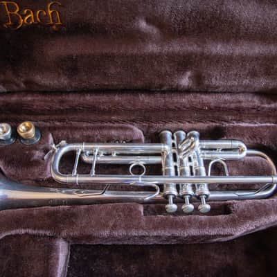 Vincent Bach Stradivarius 37 Bb Trumpet - Silver Plated 180S37 37 2008 - Silver Plated image 2