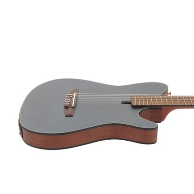 Ibanez FRH10N Thinline Nylon Acoustic Electric - Indigo Blue Metallic Flat image 5