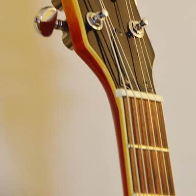 Hondo Revival ES 935 1982 (Hard Case Included) image 11