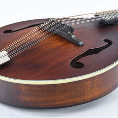 Immagine Eastman MD305 A Style - 11