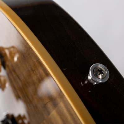 Gibson Custom Les Paul Axcess Standard Figured Floyd Rose Gloss, DC Rust | Demo image 13
