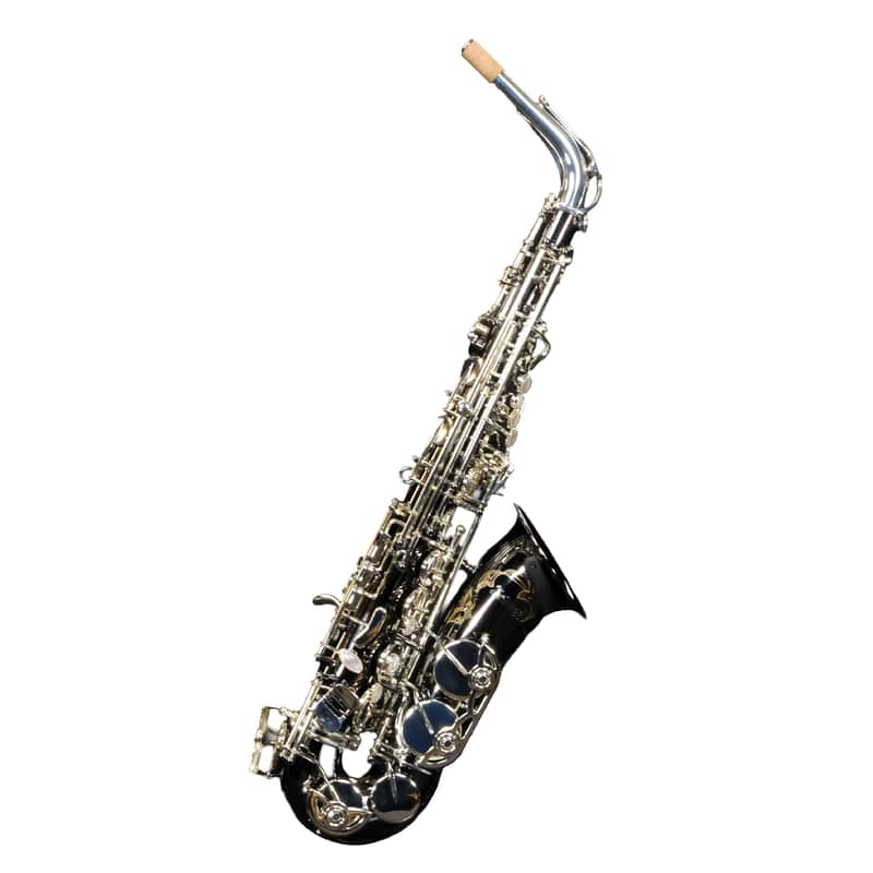 Selmer SAS711B Professional Alto Saxophone - Black Nickel image 1