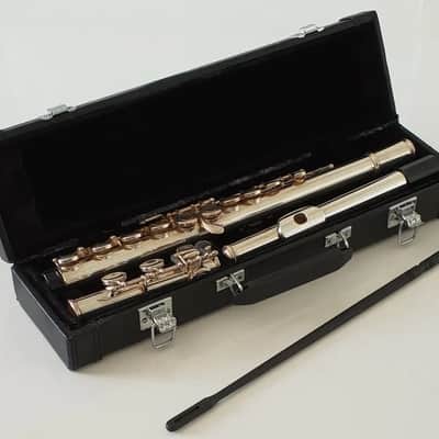 Flute In C In Silver Nickel with Hard Case & DVD Tutor - Complete Outfit~ image 13