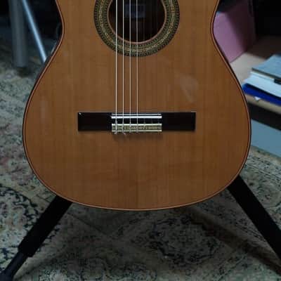 Giannini Asturias 7 String Classical Guitar with - Handcrafted in Brazil - GNC4/7 image 3
