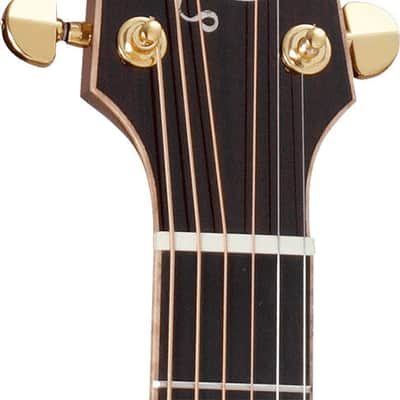 P7NC Takamine image 10