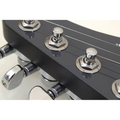 Schecter PT EX guitar in Dorian Gray B-Stock 1257 image 8