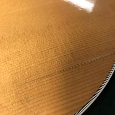 Martin JC-16RGTE image 8